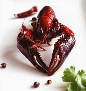Lobster