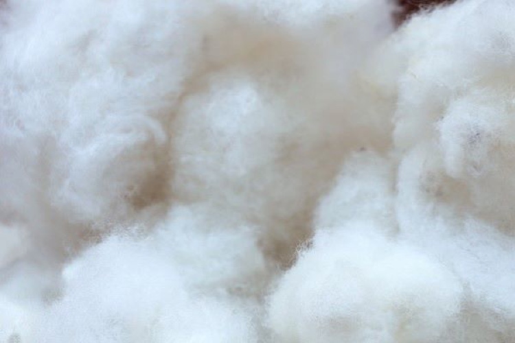 Boom year expected for fluff pulp