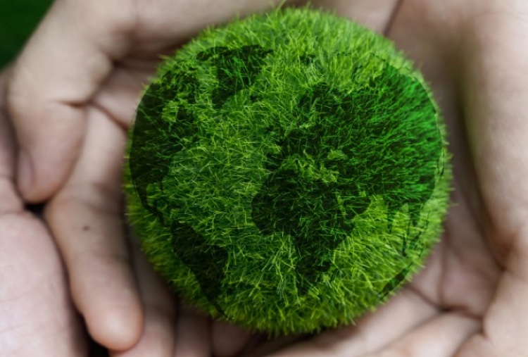 Covestro celebrates decade of sustainable growth